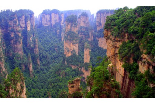 Dia 4: Parque florestal nacional de Zhangjiajie